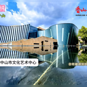 【好中山】毛绒绒，可爱爱的中山，你有被萌到吗？